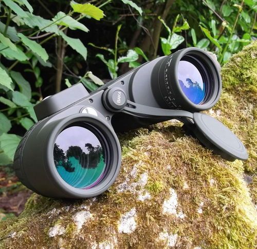 Picture of Travel Binoculars with Compass 